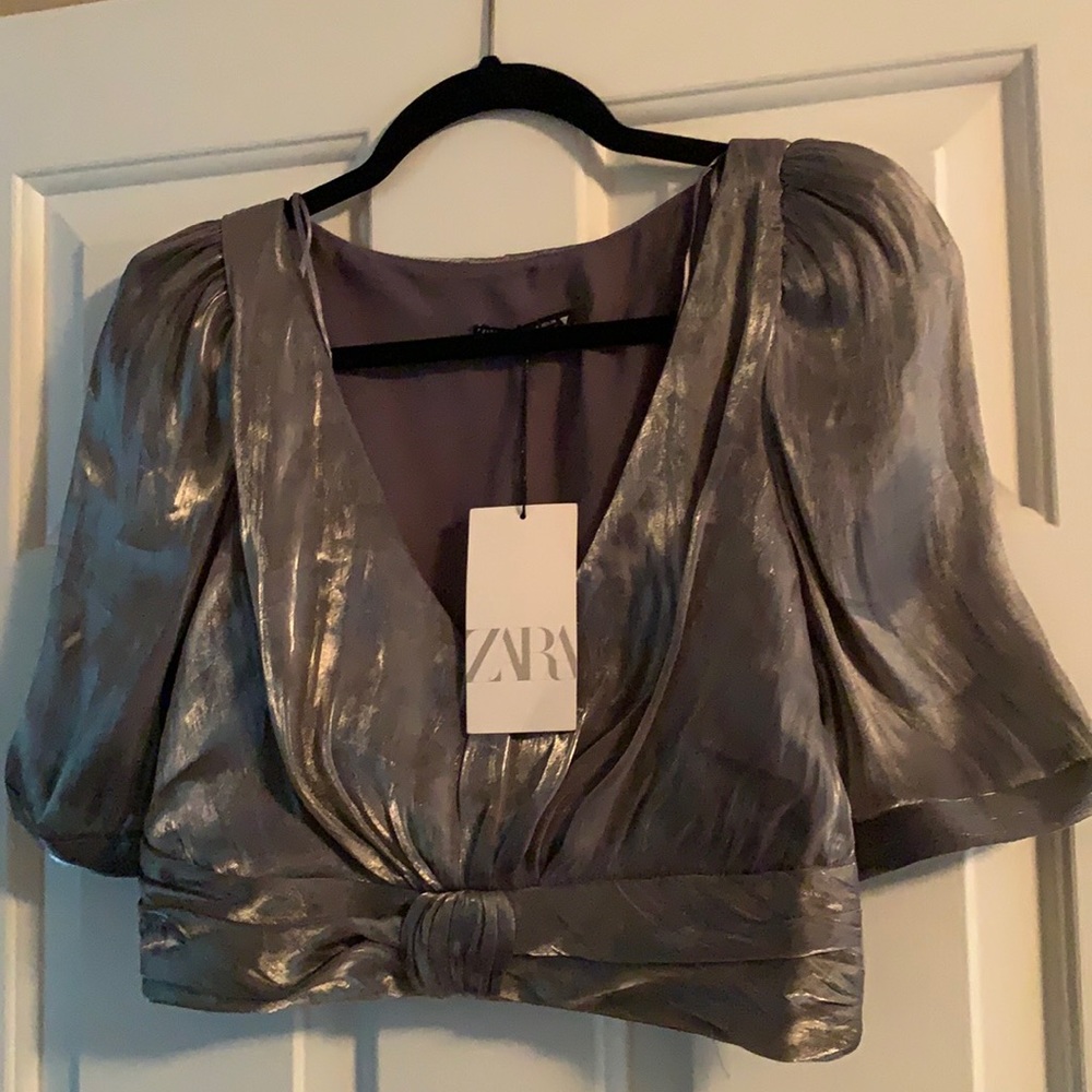 Zara Metallic Puff Sleeve Crop Blouse